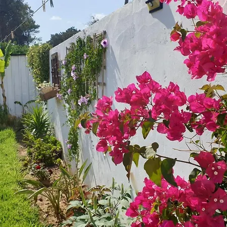 Vakantiehuis Casa Pelicano